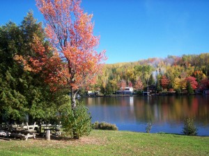 Irène Gagné Lac St-Pierre